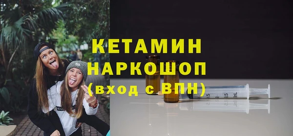 гашик Алексин