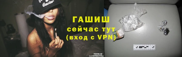 гашик Алексин