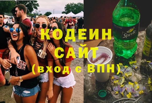 гашик Алексин