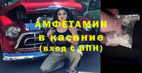 гашик Алексин