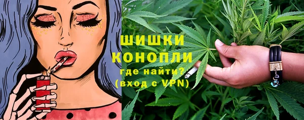 гашик Алексин