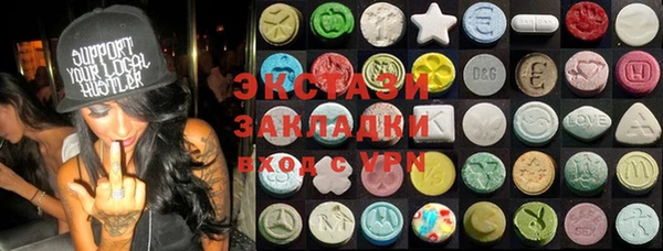 гашик Алексин