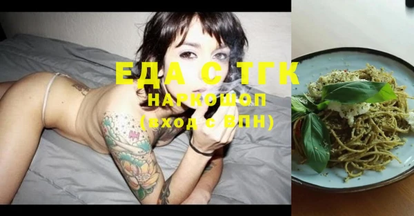 гашик Алексин