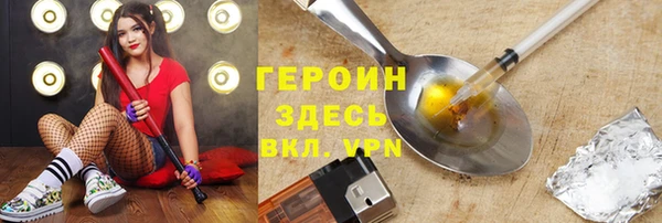 гашик Алексин