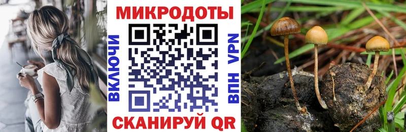 Псилоцибиновые грибы GOLDEN TEACHER  блэк спрут онион  Анапа 